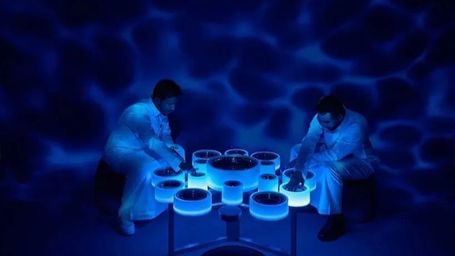 燈光裝置 | 你能為我摘下天上的星星么？