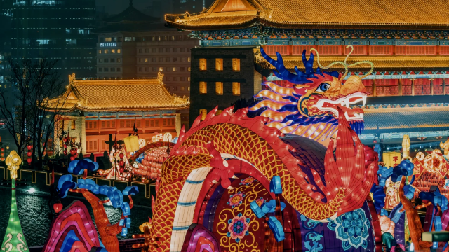 夜的禮贊：各式夜游主題體驗